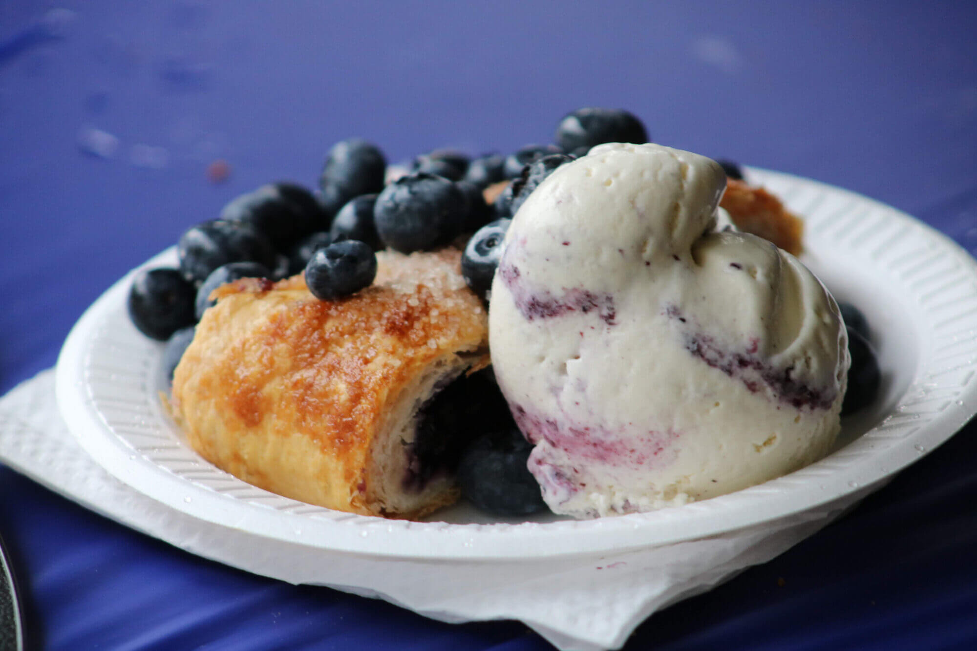 Bethlehem Blueberry Festival Desserts