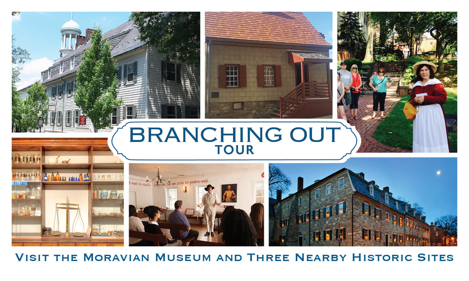 Branching Out Collage