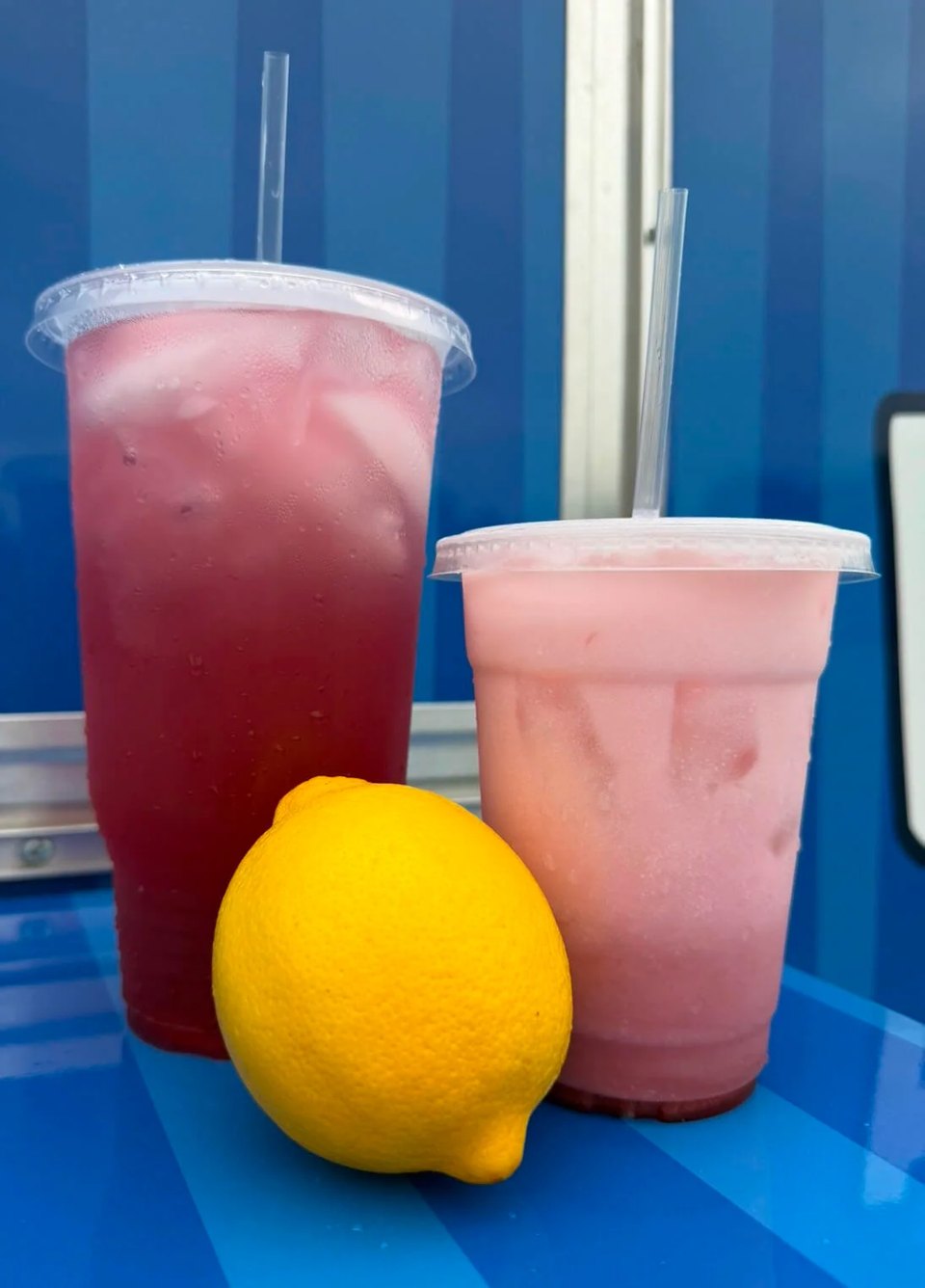 Blueberry Bliss Awaits: Your Exclusive Look at the 2026 Blueberry Festival Menu