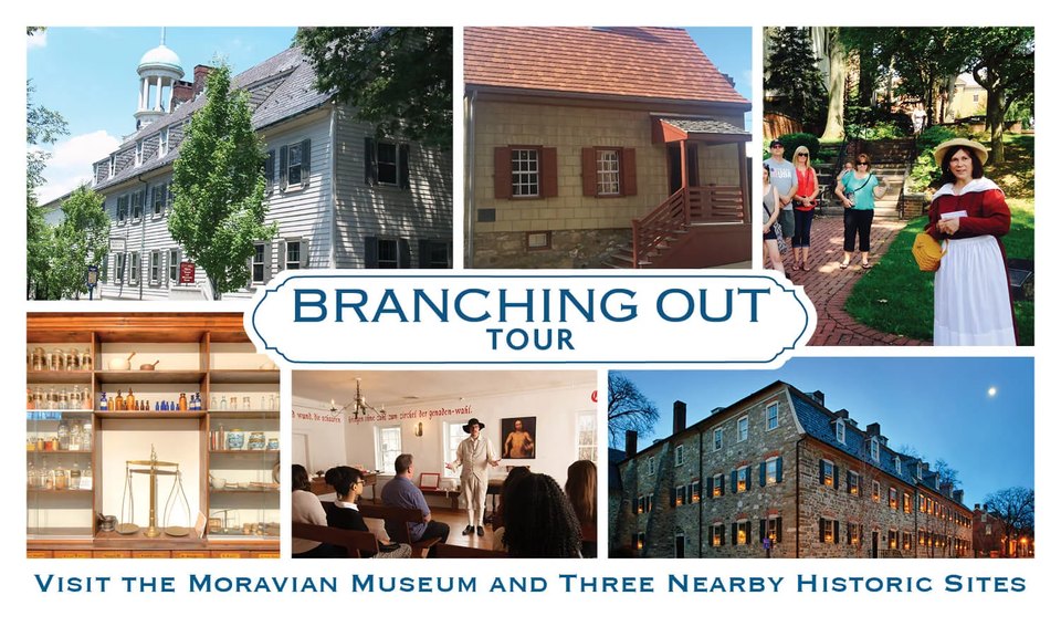 Branching Out Collage