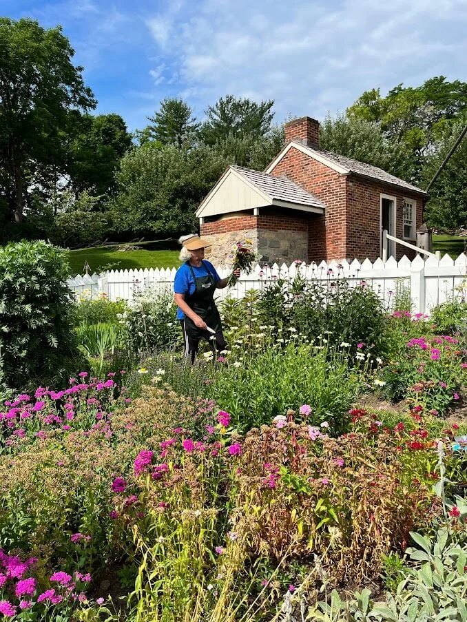 Fresh veggies, flowers, and herbs are bursting at Burnside Garden for the return of ‘You Point, We Pick’ program