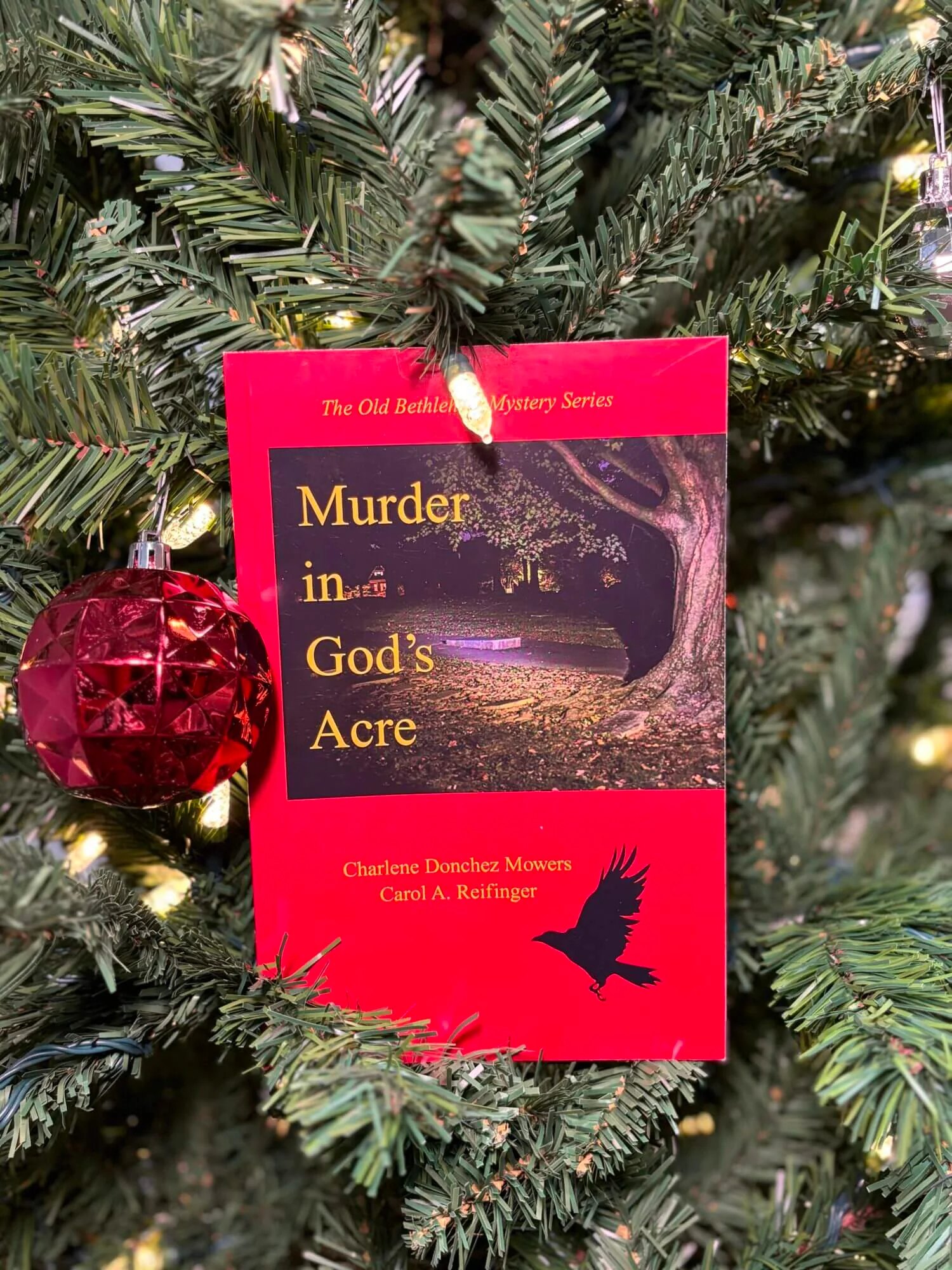 Murder In God's Acre Book